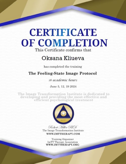 FSIP картинка